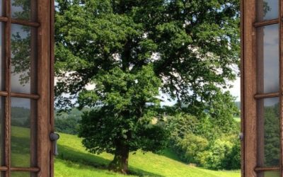TeamViewer Moves Ahead To Achieve Climate Neutral Status Within Three Years