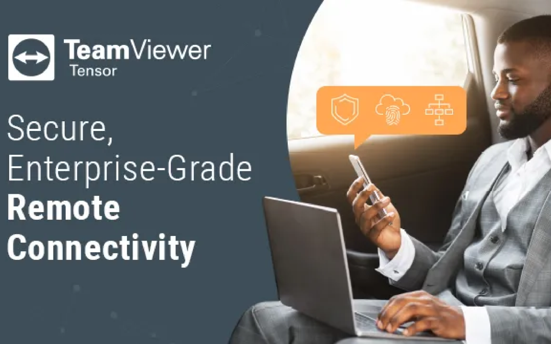Want secure remote access? Better go to TeamViewer